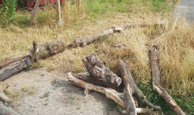 Blühwiesenbeete bei der Entstehung – Foto: Georg Hanser
