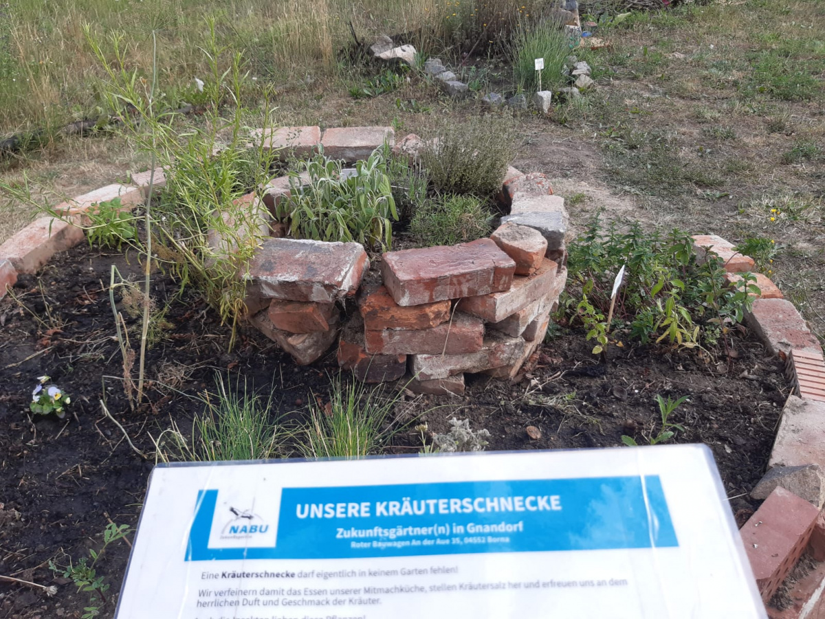 Kräuterschnecke mit Infotafel – Foto: Katrin Schroeder