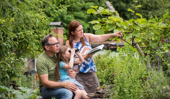 Vogelzählaktion - Stunde der Gartenvögel Foto: Sebastian Hennigs