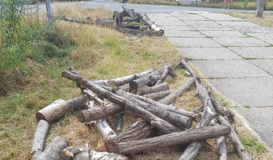 Blühwiesenbeete bei der Entstehung Foto: Georg Hanser