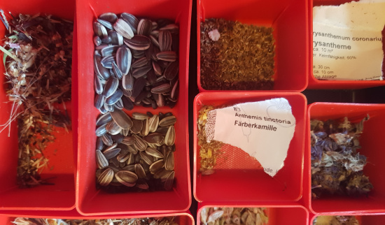 Foto: Katrin Schroeder