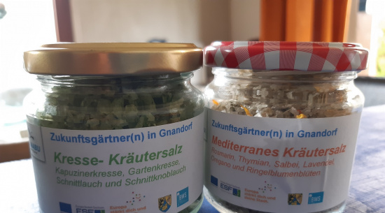 selbstgemachtes Kräutersalz in zwei Variationen Foto: Katrin Schroeder