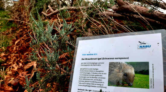 Foto: Vera Hickethier