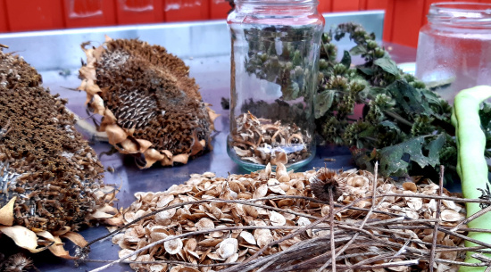 Foto: Katrin Schroeder