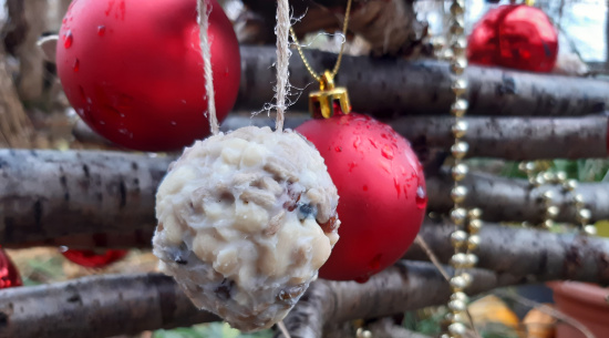 Meisenknödel selbst gemacht Foto: Katrin Schroeder