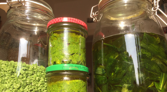 Foto: Vera Hickethier