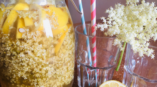 Foto: Vera Hickethier