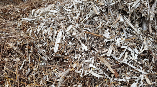 Holzhäcksel Foto: Katrin Schroeder