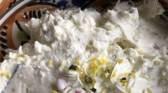 Gänseblümchen - Brotaufstrich Foto: Katrin Schroeder