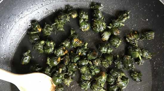 Gebratene Löwenzahnknospen Foto: Katrin Schroeder