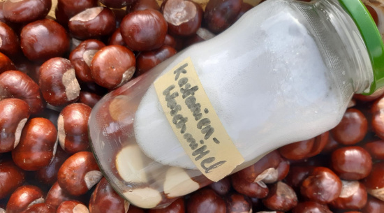 Foto: Vera Hickethier