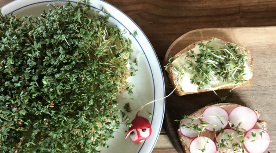 Kressebrot mit Mäuschen Foto: Katrin Schroeder