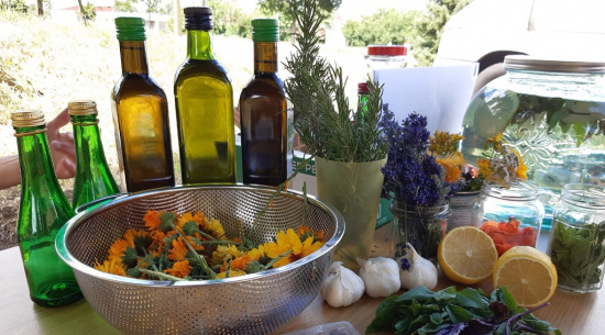 Kräuteröle herstellen Foto: Katrin Schroeder