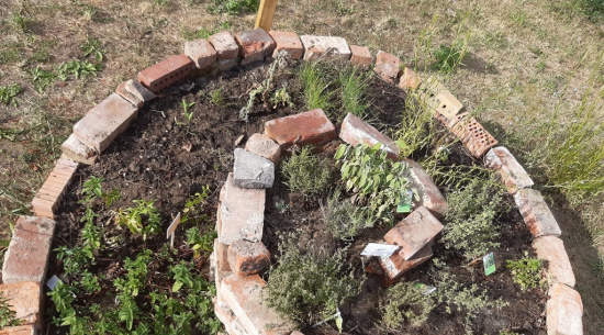 Unsere Kräuterschnecke Foto: Katrin Schroeder