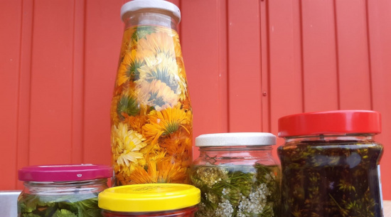 Kaltauszüge aus Pflanzenteilen Foto: Katrin Schroeder