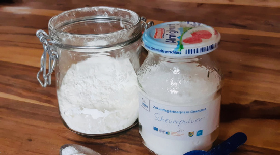 Foto: Katrin Schroeder