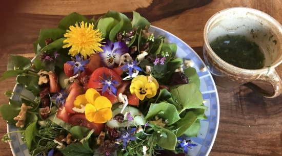 bunter Posteleiensalat Foto: Katrin Schroeder