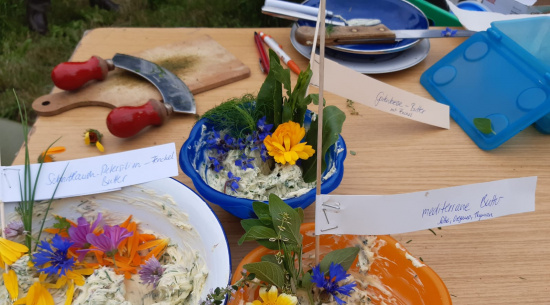 Foto: Katrin Schroeder