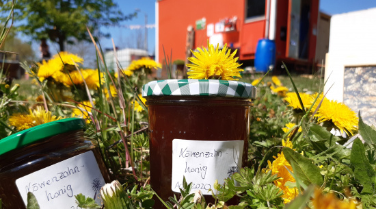 unser Löwenzahnhonig Foto: Vera Hickethier